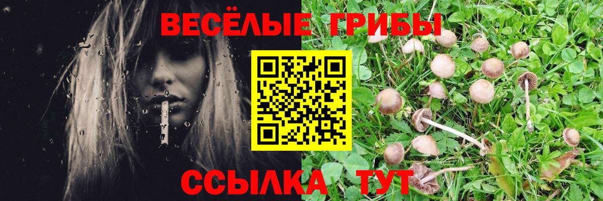 Галлюциногенные грибы Magic Shrooms Ирбит