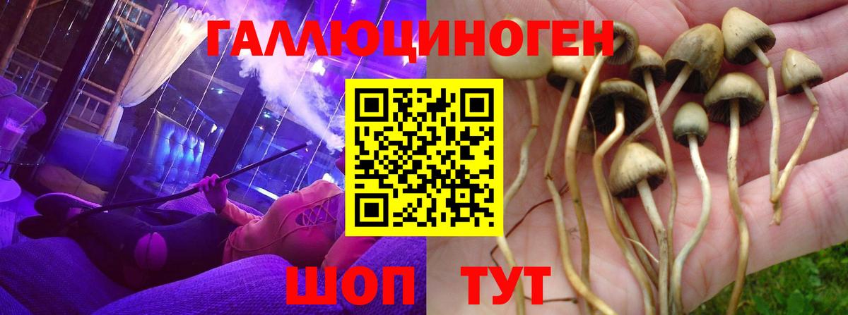 Галлюциногенные грибы прущие грибы  Вход с VPN  Ирбит 